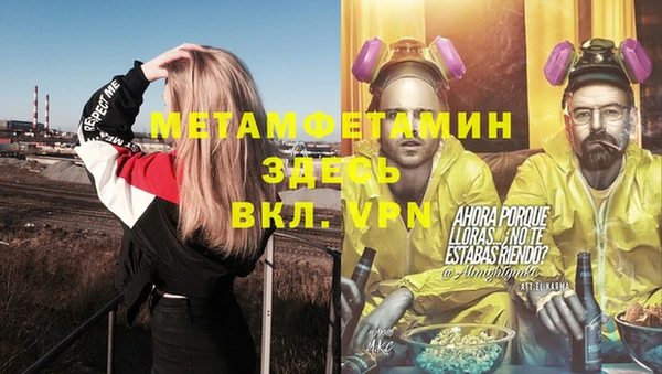 крисы Мегион