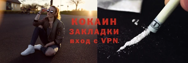 ПСИЛОЦИБИНОВЫЕ ГРИБЫ Медвежьегорск