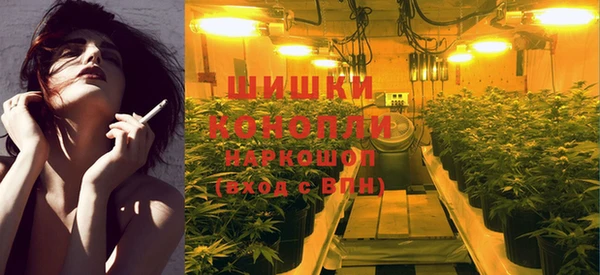 крисы Мегион