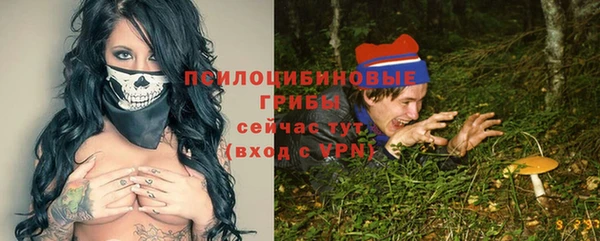 крисы Мегион