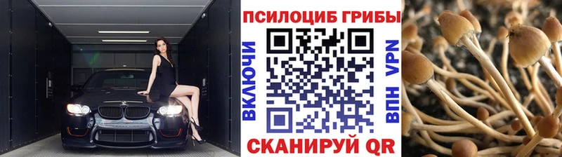 Галлюциногенные грибы GOLDEN TEACHER  Купить где  Южно-Сухокумск 